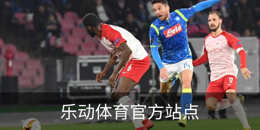 乐动体育官方站点概况